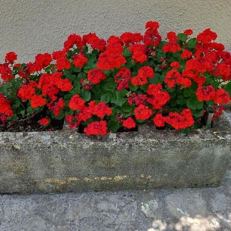 Apartmani Gracijela Karlobag Buitenkant foto