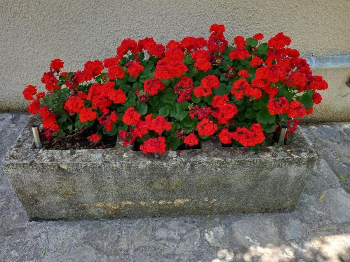 Apartmani Gracijela Karlobag Buitenkant foto