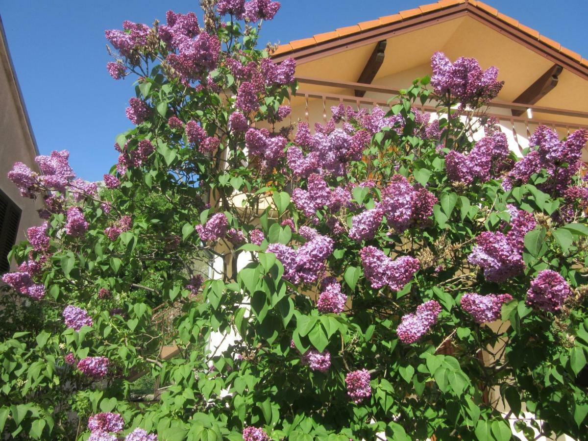 Apartmani Gracijela Karlobag Buitenkant foto